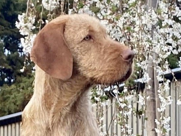 Xander photo 4